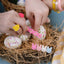 SPR - Bunnies Flowers Pink and Bow Hair Clips