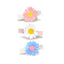 SPR - Daisies White Blue Pink Hair Clips